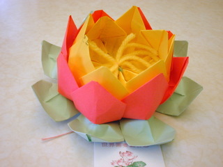 Lotus Flower Folding
