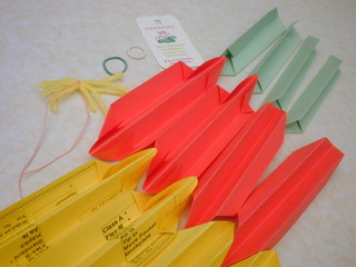 Lotus Flower Folding