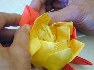 Lotus Flower Folding